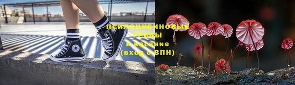 гидра Бронницы