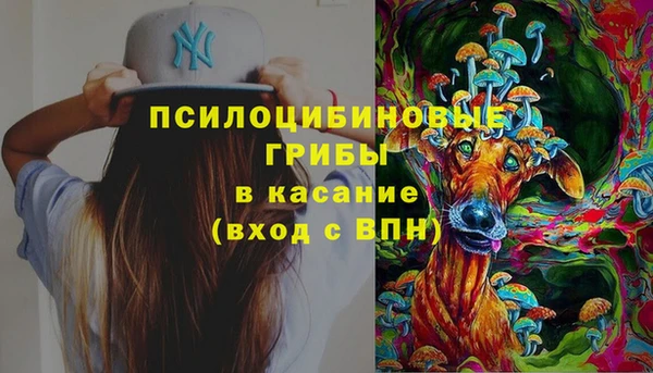 гидра Бронницы