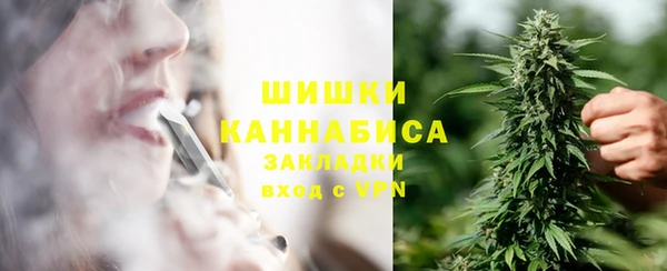гидра Бронницы